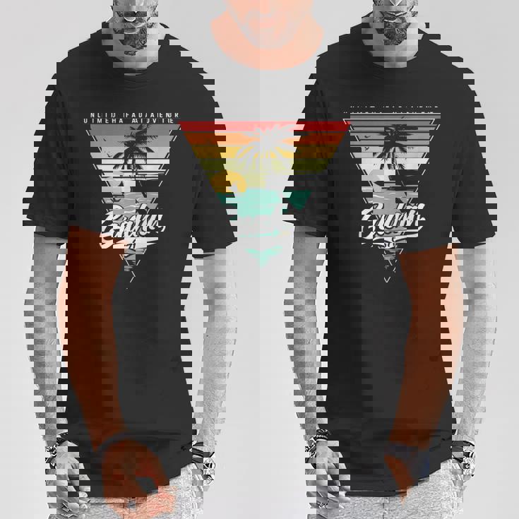 ヴィンテージ ハファ アダイアドベンチャー 671 グアム Tシャツ 面白い贈り物