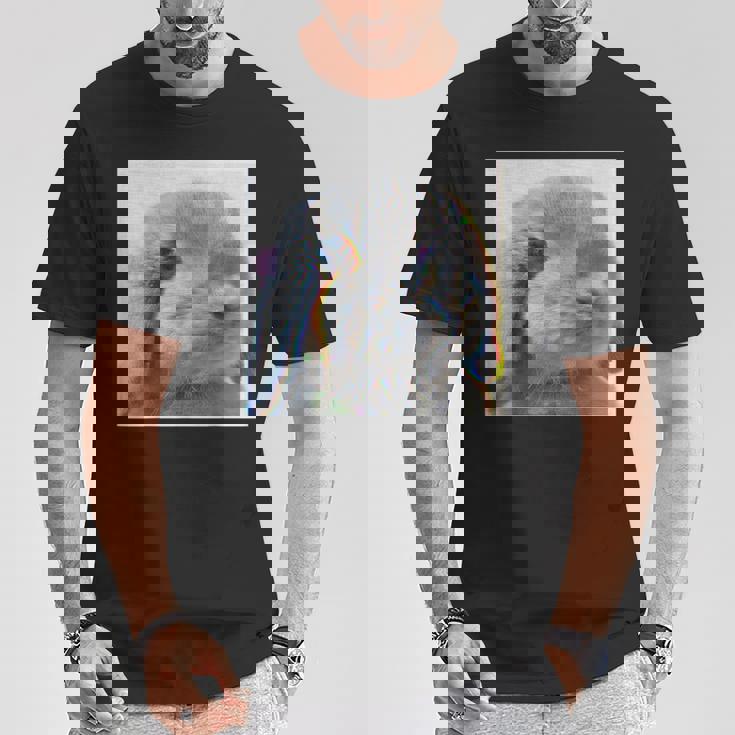 垂れ耳うさぎのレトロ写真 Tシャツ 面白い贈り物