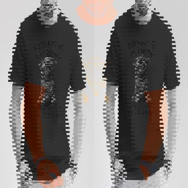 弱者のチャンピオン 闘争を受け入れる Tシャツ 面白い贈り物