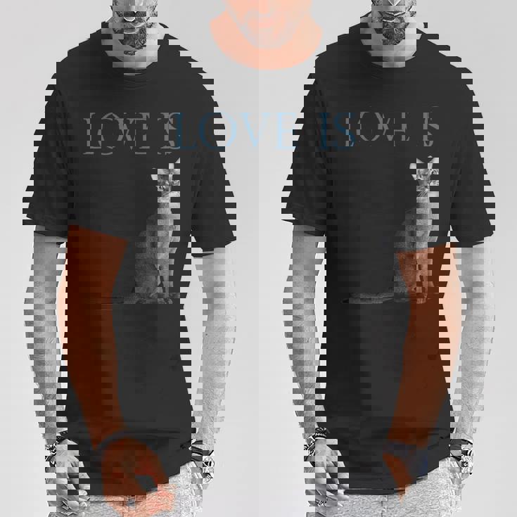 愛はアビシニアンキャット Tシャツ 面白い贈り物