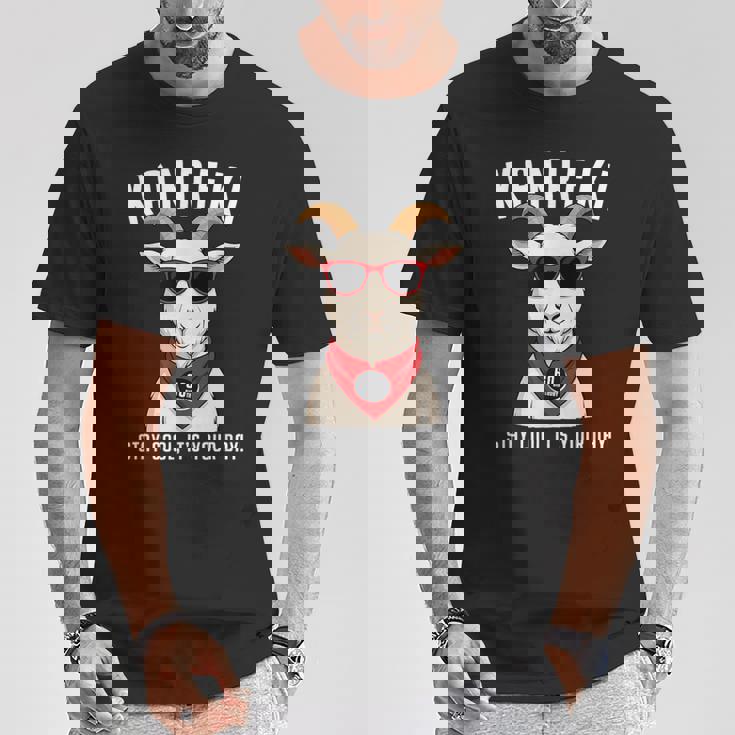 還暦祝い 羊 ひつじ やぎ好き 干支 父 男性 女性 還暦 お祝い 60歳 おもしろ おもろい Tシャツ 面白い贈り物