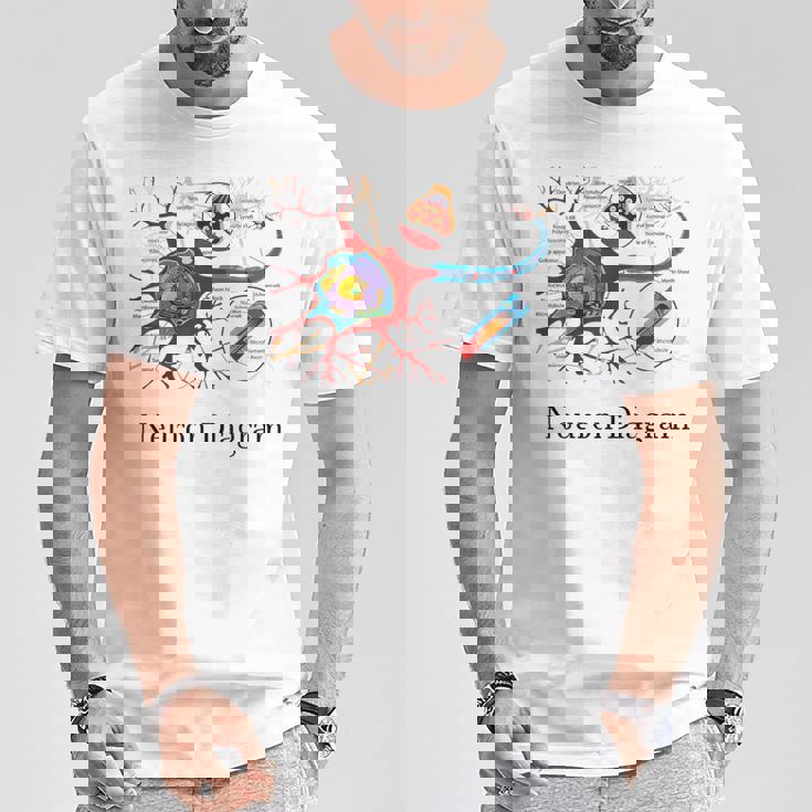 Diagrama De Neuronas Etiquetado Con Células Nerviosas Camiseta unisex Regalos divertidos
