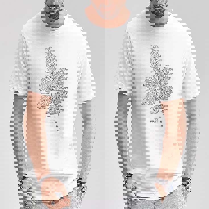ウォールナットツリーリーフヴィンテージ植物学tシャツtシャツ Tシャツ 面白い贈り物
