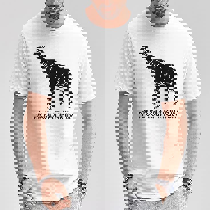 パラケラテリウム 絶滅動物 サイ 古生物学 Tシャツ 面白い贈り物