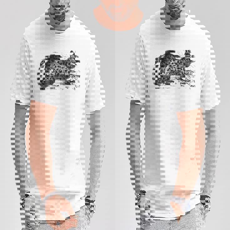 パームシベット アニマルプリント Tシャツ 面白い贈り物