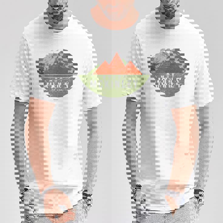 ヴィンテージ Usa マウンテンハイキング マウント・マッキンリー Tシャツ 面白い贈り物