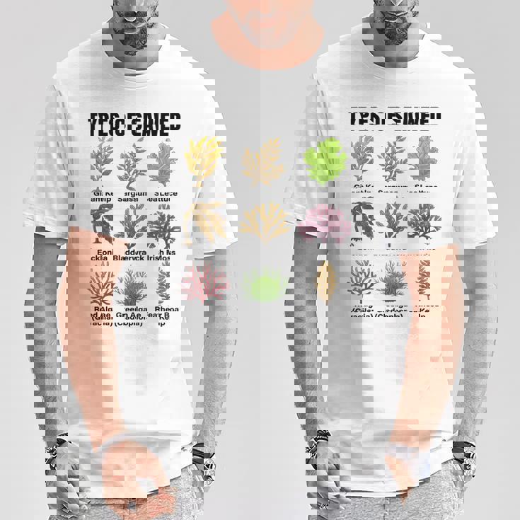 海藻の種類、海藻種チャート、海藻の種類 Tシャツ 面白い贈り物