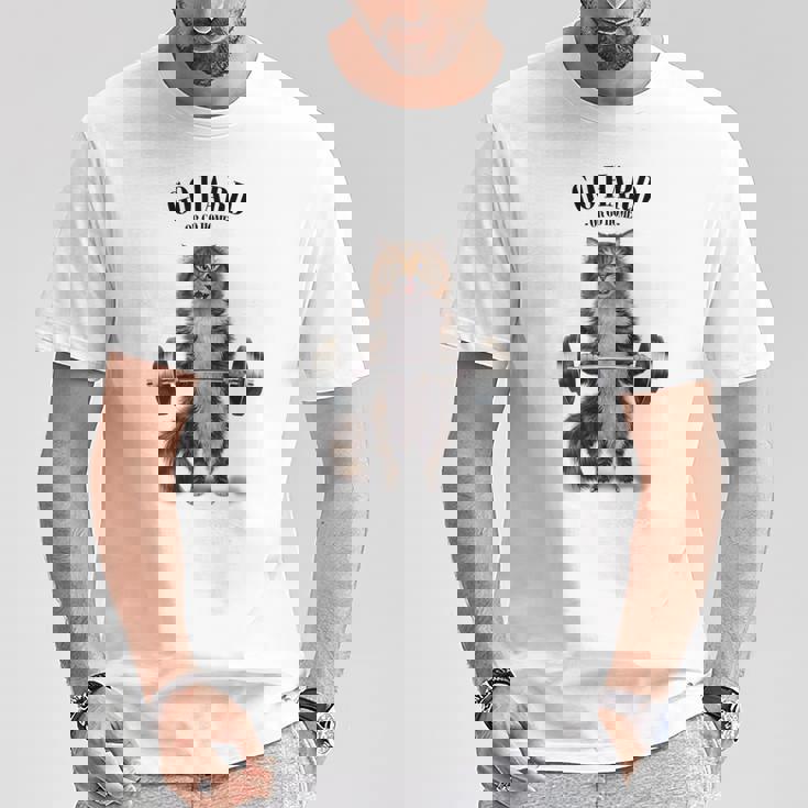 筋トレ ジム やる気がないなら家に帰れ トラ猫 ねこ Tシャツ 面白い贈り物