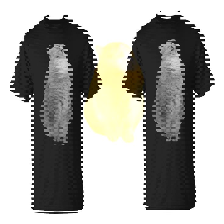 Meme Yellow Cat leep Internetiral Tシャツ