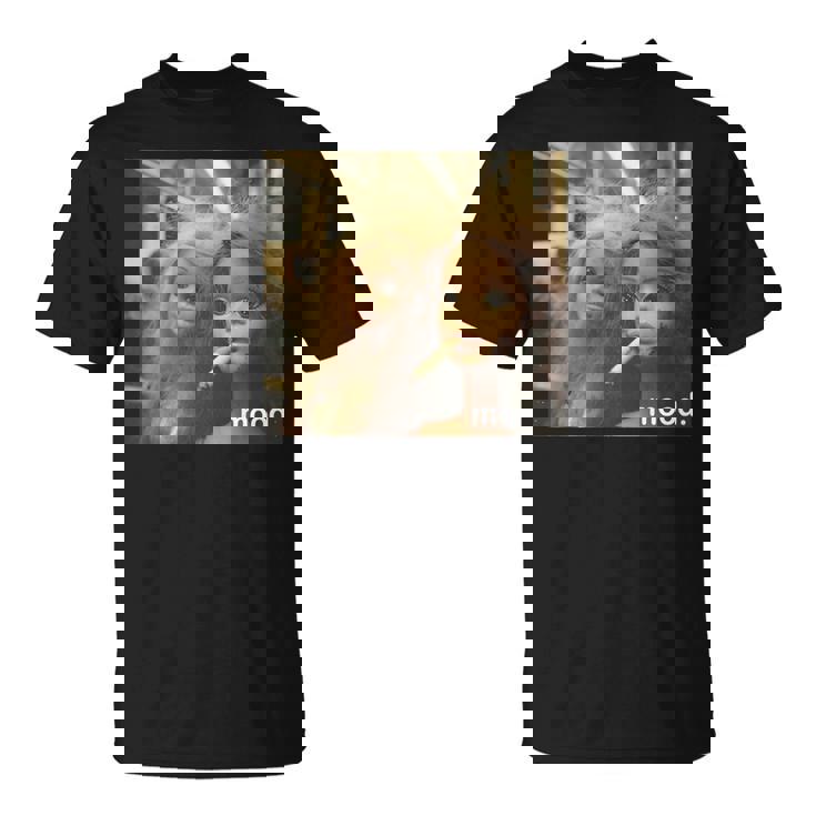 アンティーク調のドールフェイスミーム 長袖tシャツ Tシャツ