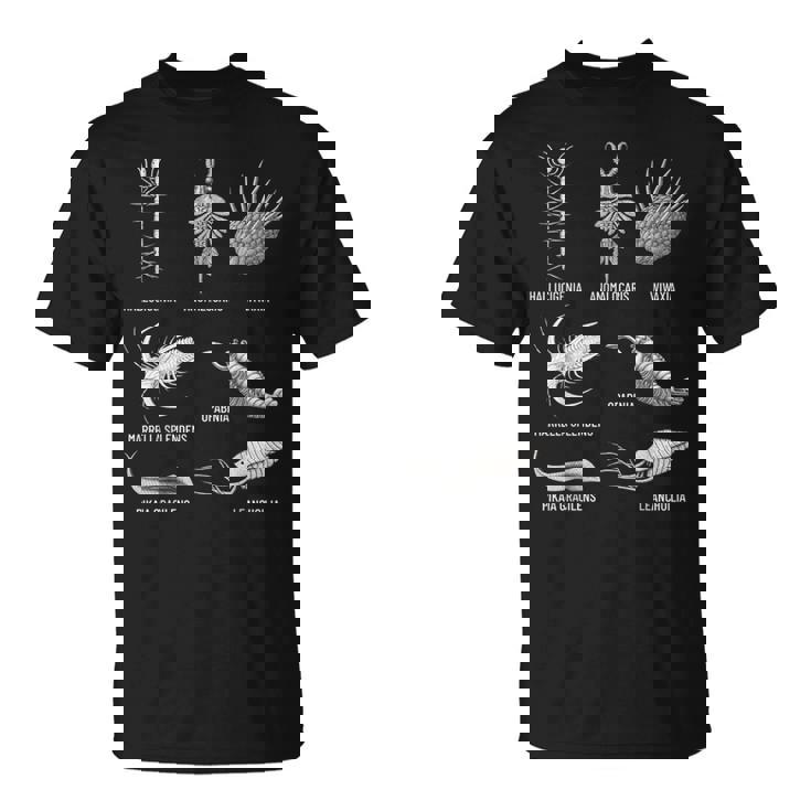 カンブリア紀 生き物 化石 古美術 進化 科学 恋人 Tシャツ
