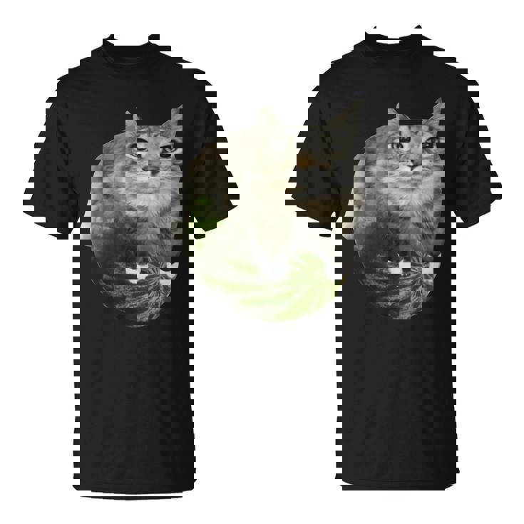 スイカ猫ミーム Tシャツ