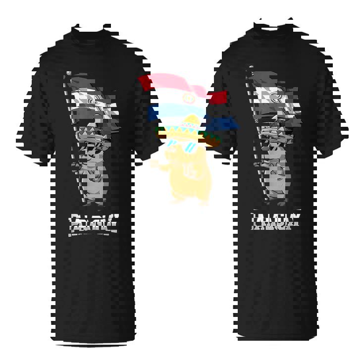 パラグアイ国旗 パラグアイのプライド Tシャツ