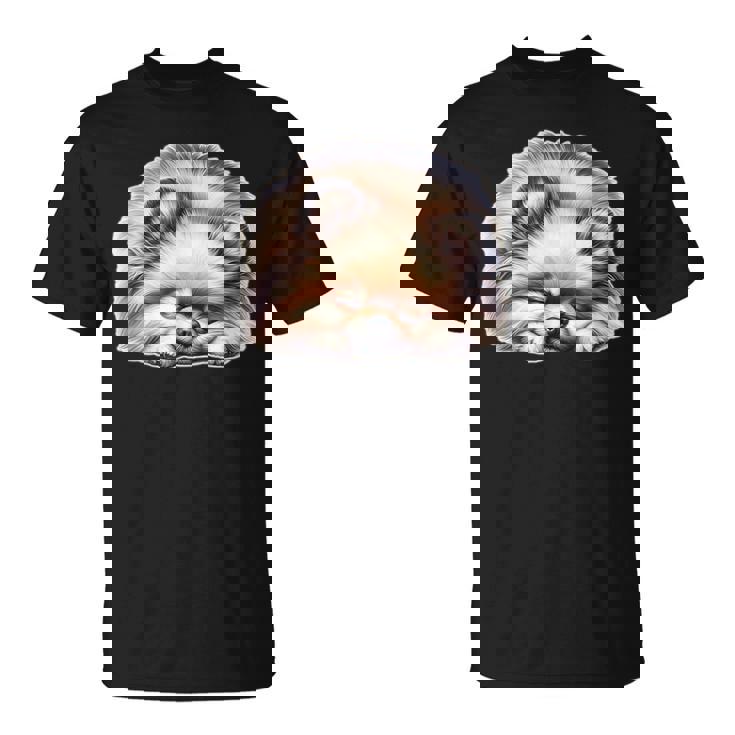 ポメラニアン × ポメラニアン 犬 寝ている Tシャツ
