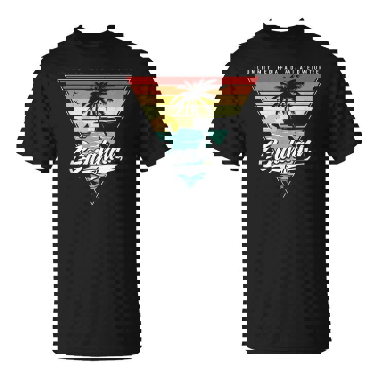 ヴィンテージ ハファ アダイアドベンチャー 671 グアム Tシャツ