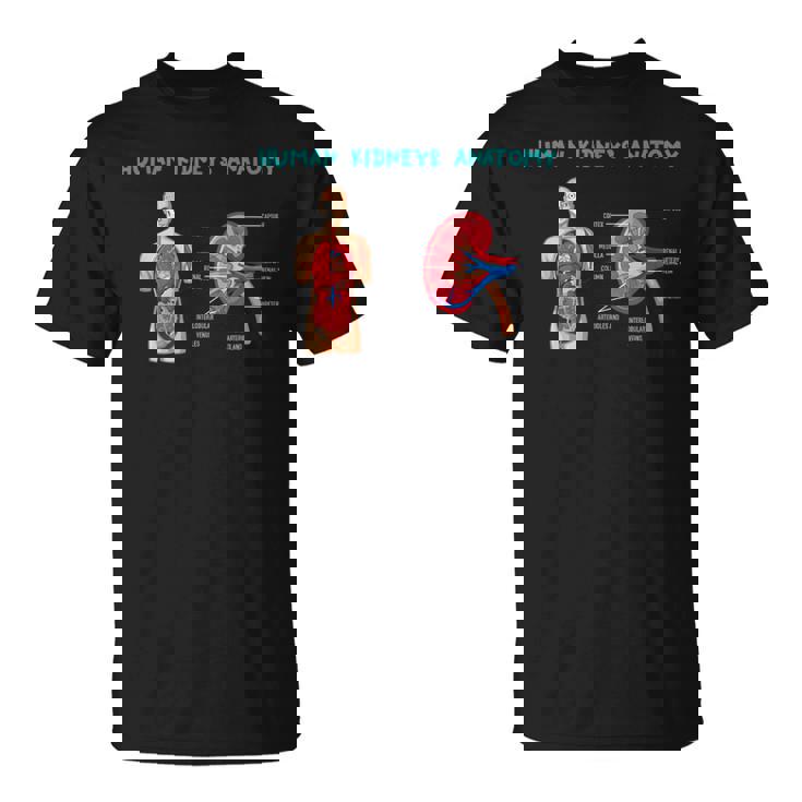医療従事者のためのヒト腎臓の解剖学 Tシャツ