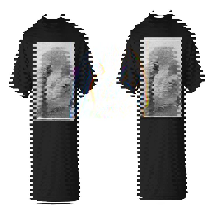 垂れ耳うさぎのレトロ写真 Tシャツ