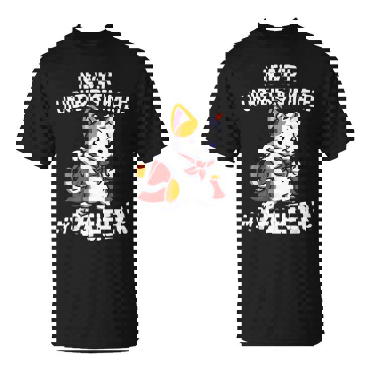 猫に言わせると、Don't Underestimate My Pawer Pun Cat（私の肉球を甘く見ないで）。 Tシャツ