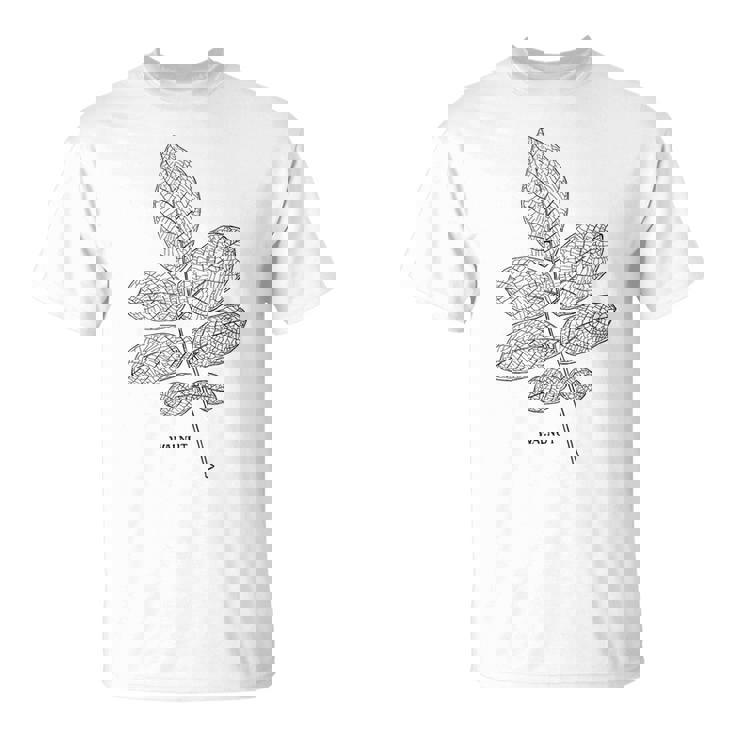ウォールナットツリーリーフヴィンテージ植物学tシャツtシャツ Tシャツ