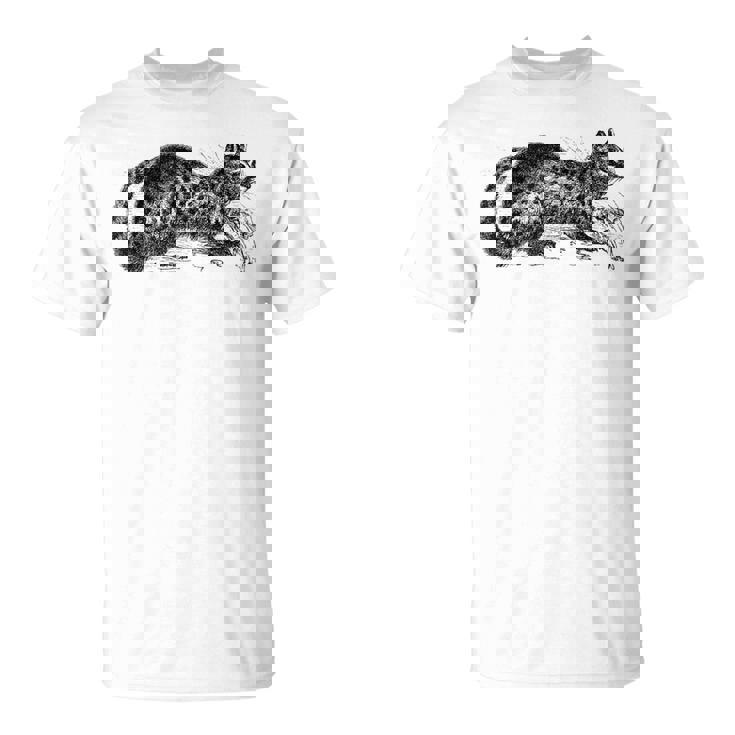 パームシベット アニマルプリント Tシャツ