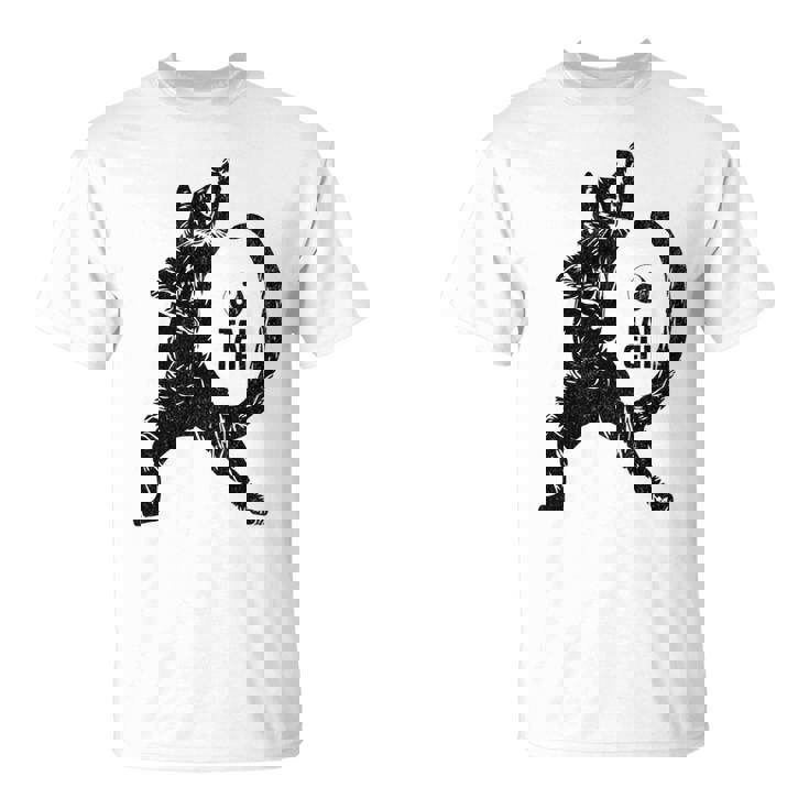 太極拳の練習をしている陽気な猫 陰陽 長袖tシャツ Tシャツ