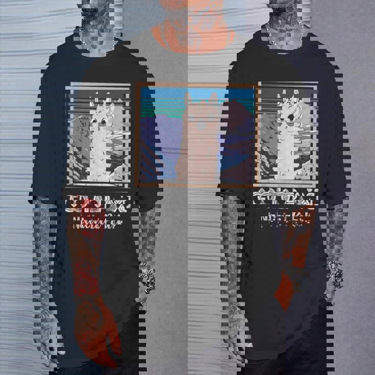 エクアドル山脈コトパクシ国立公園のかわいいラマ Tシャツ 彼への贈り物