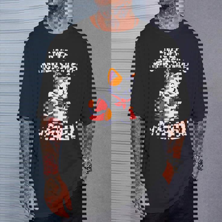 猫に言わせると、Don't Underestimate My Pawer Pun Cat（私の肉球を甘く見ないで）。 Tシャツ 彼への贈り物