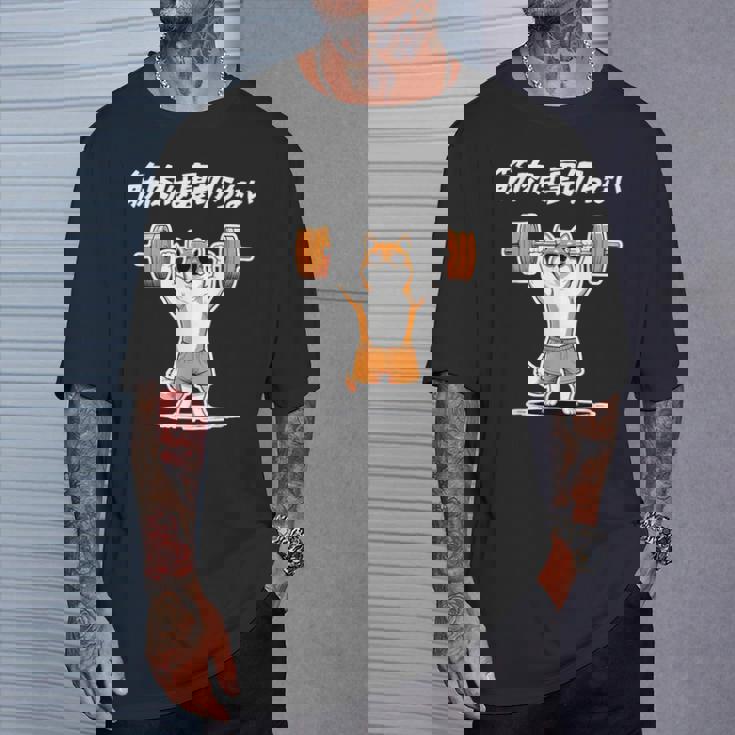 筋肉は裏切らない 柴犬 グッズ 筋トレ 犬 おもしろ 面白い ネタ Tシャツ 彼への贈り物