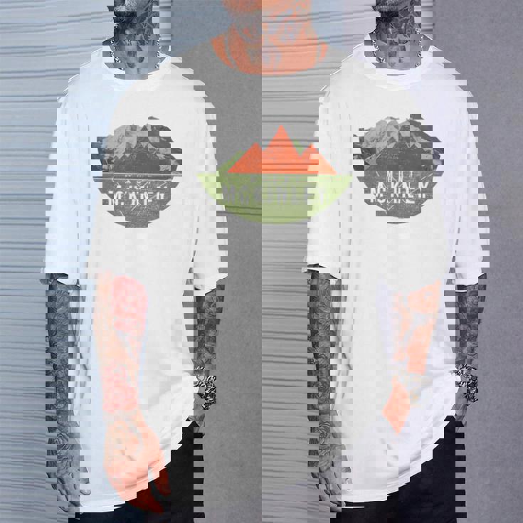 ヴィンテージ Usa マウンテンハイキング マウント・マッキンリー Tシャツ 彼への贈り物