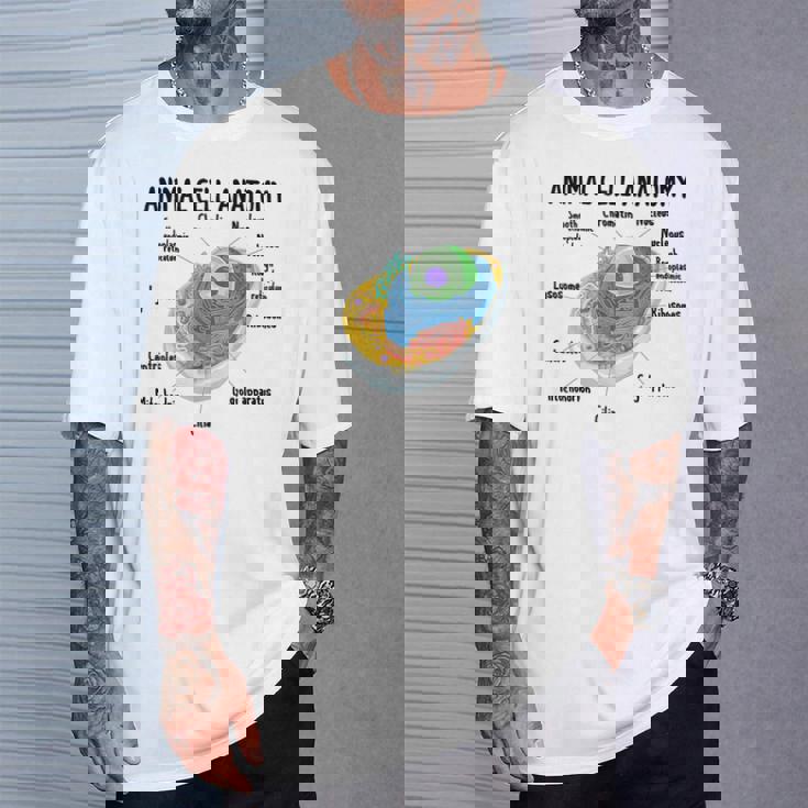 動物細胞の解剖学 生物学者 理科学生 Tシャツ 彼への贈り物