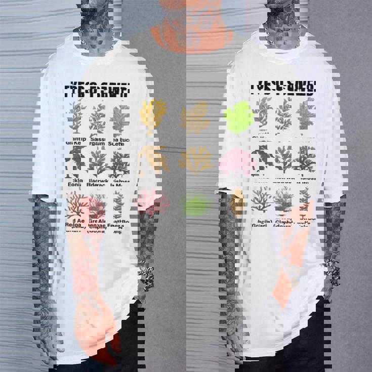 海藻の種類、海藻種チャート、海藻の種類 Tシャツ 彼への贈り物