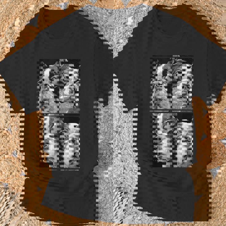 Hypnotic Boston Terriers Weird Eyes Weirdcore Halloween Dogs Tank Top T-Shirt Gifts for Old Men