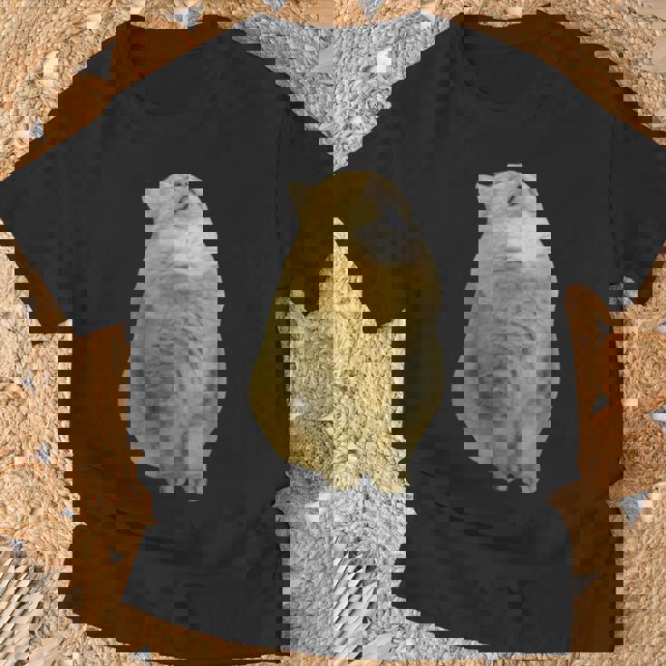 Meme Yellow Cat leep Internetiral Tシャツ 高齢者への贈り物