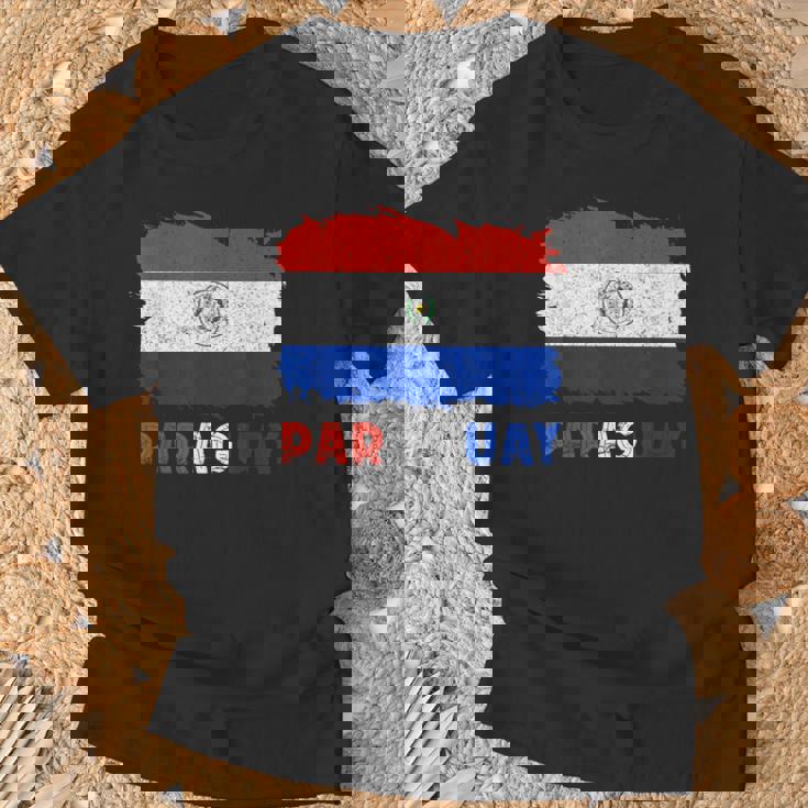 Paraguayan Pride Drapeau Paraguayen Avec Racines Paraguayennesintage T-Shirt Cadeaux pour les vieillards