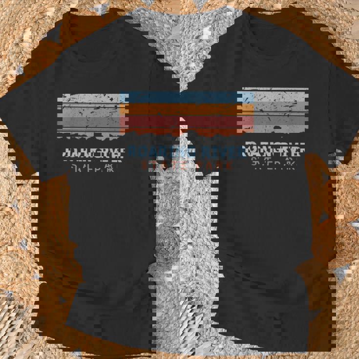Roaring Rivertate Park ミズーリ州立公園 レトロ クール Tシャツ 高齢者への贈り物