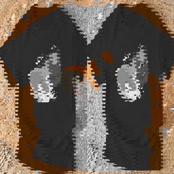 おもしろ猫ニャンコ先生 長袖tシャツ Tシャツ 高齢者への贈り物