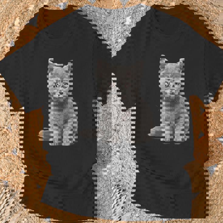 かわいいブリティッシュショートヘア 猫好きの子猫 Tシャツ 高齢者への贈り物