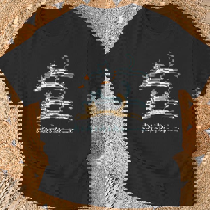 みょみょみょみょーん 猫 ネコ 茶トラ ハチワレ 三毛 シャム シュール おもしろ 可愛い メンズ レディース キッズ Tシャツ 高齢者への贈り物