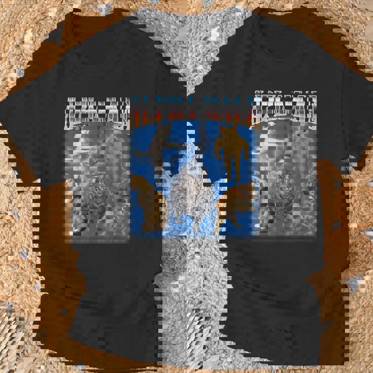 アルファ 男性 面白い ジョーク ミーム 大人 ユーモア 猫 ミーム Tシャツ 高齢者への贈り物