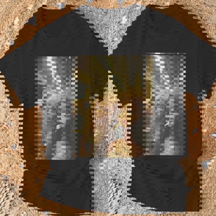 アンティーク調のドールフェイスミーム Tシャツ 高齢者への贈り物