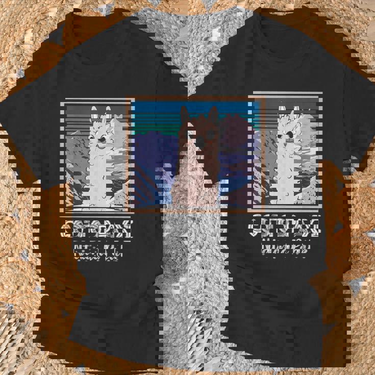 エクアドル山脈コトパクシ国立公園のかわいいラマ Tシャツ 高齢者への贈り物