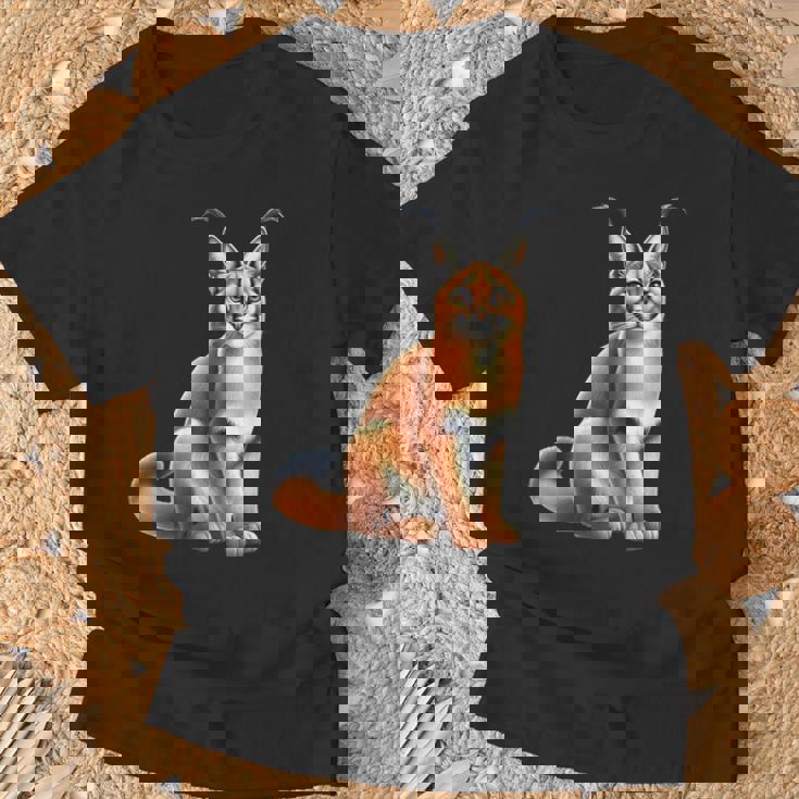 カラカルリンクス Tシャツ 高齢者への贈り物