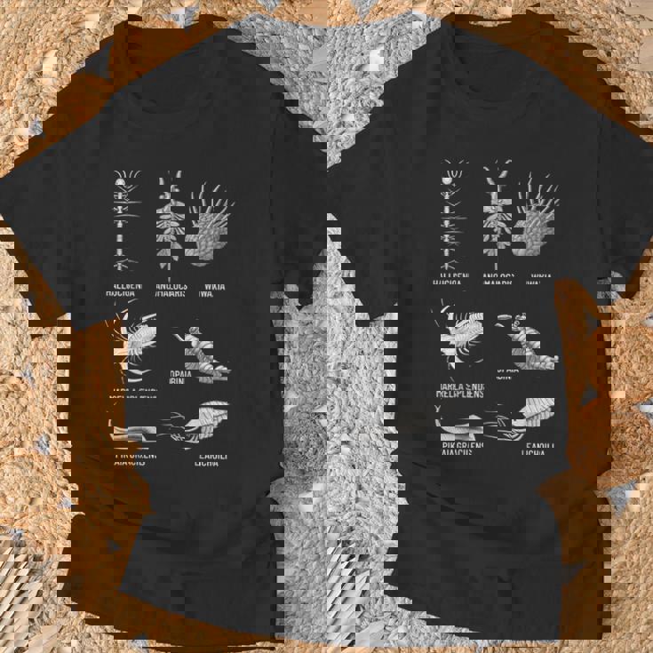 カンブリア紀 生き物 化石 古美術 進化 科学 恋人 Tシャツ 高齢者への贈り物