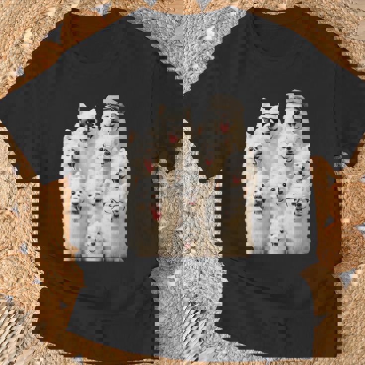 クレイジー日本スピッツ 長袖tシャツ Tシャツ 高齢者への贈り物