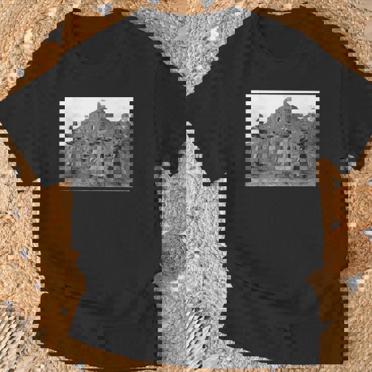 ジョン・クリーズ サー・ランスロット・モンティ・パイソン Tシャツ 高齢者への贈り物