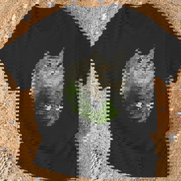 スイカ猫ミーム Tシャツ 高齢者への贈り物