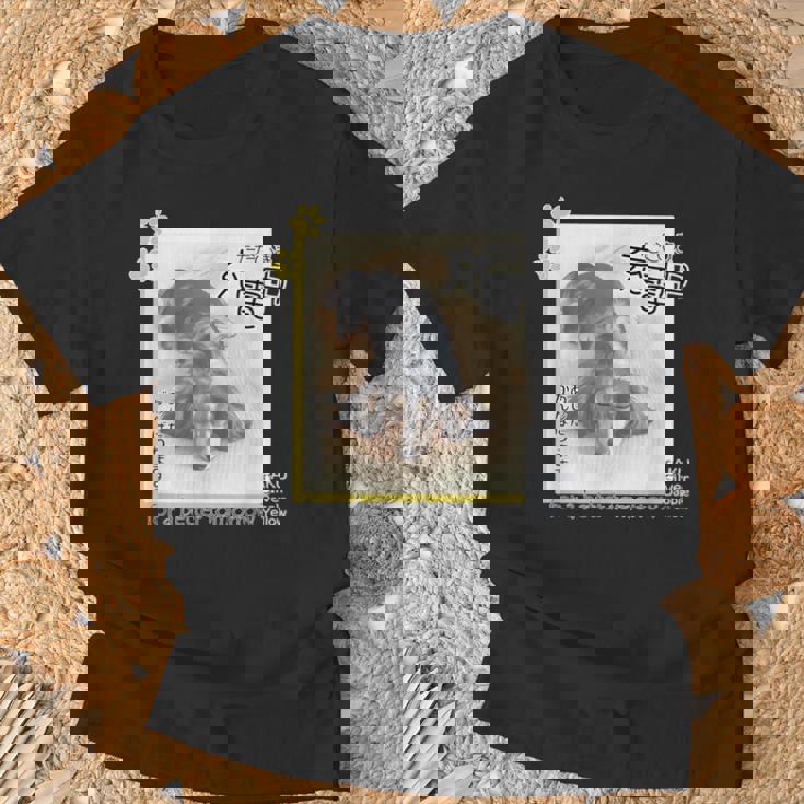 ダックス ミニチュアダックス シルバーダップル らく 充電中 明日がんばる 犬 Tシャツ 高齢者への贈り物