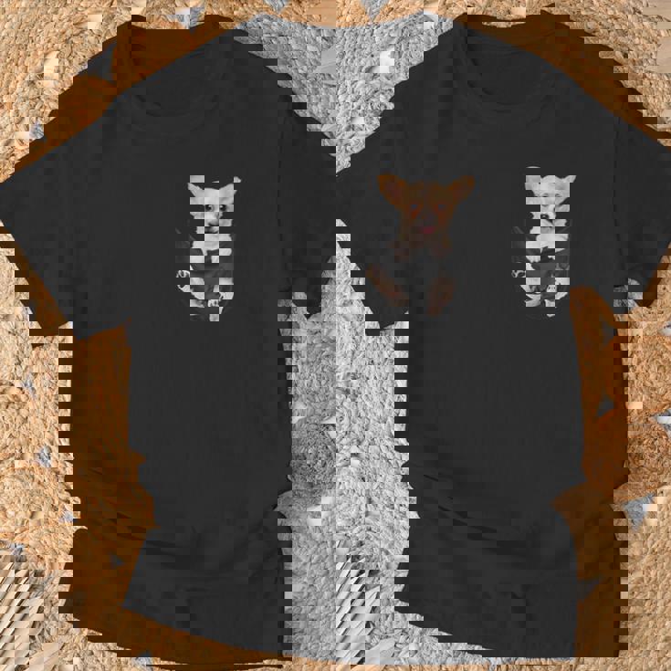 チワワ愛好家のためのあなたのポケットの中の面白いチワワ Tシャツ 高齢者への贈り物