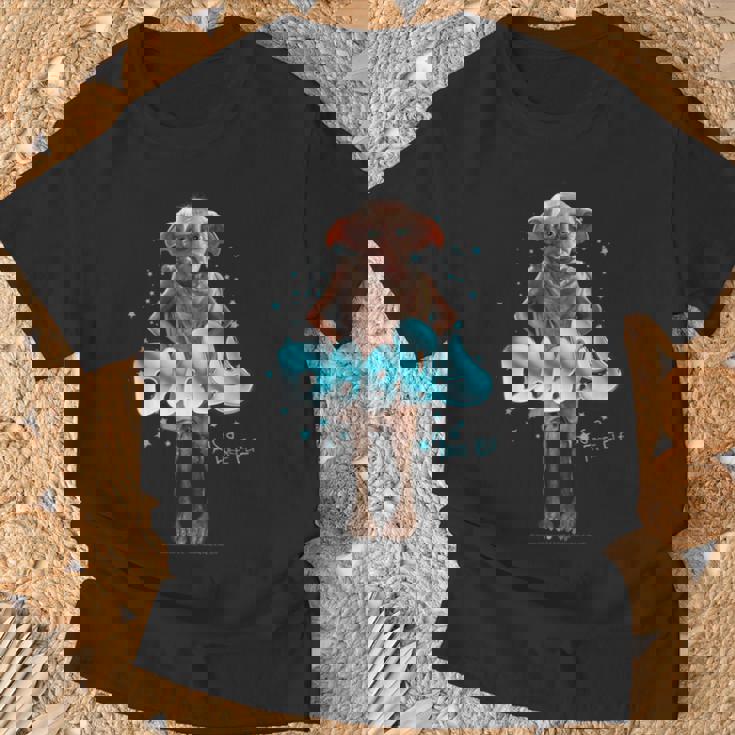 ハリーポッター 新デザイン 2025 ドビーフリーエルフ Tシャツ 高齢者への贈り物