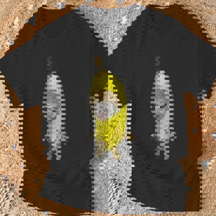 バナナキャット ファニーミーム Tシャツ 高齢者への贈り物